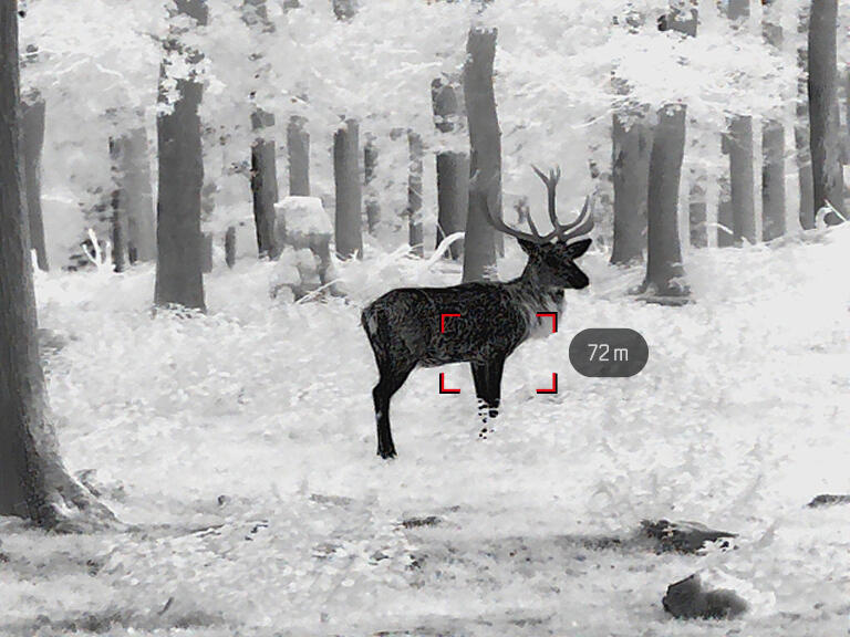 Leica Calonox 2 View LRF Thermal Spotter | Cluny Country