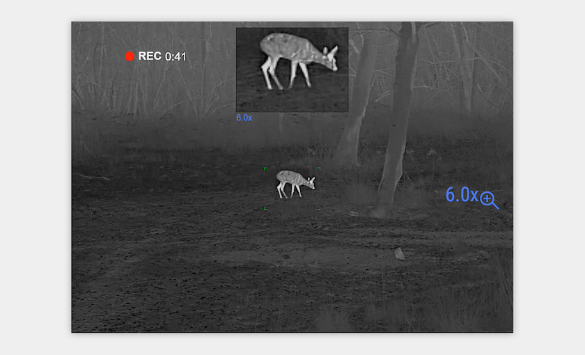 Pulsar Merger Duo NXP50 Thermal Binoculars | Cluny Country