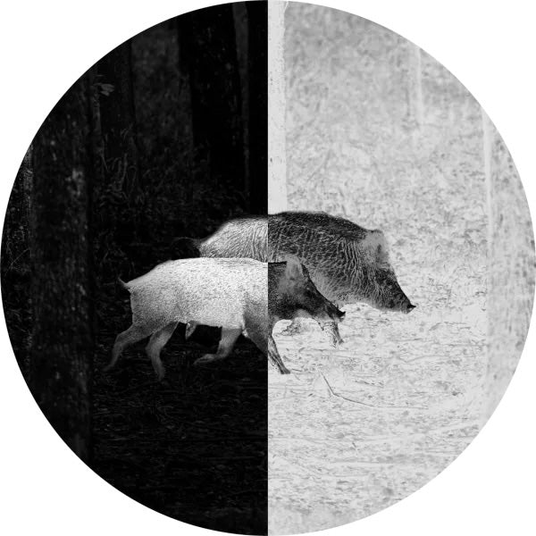 Swarovski TM35+ Thermal Add-On | Cluny Country