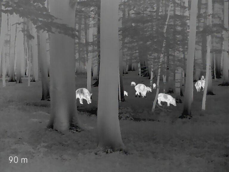 Leica Calonox Sight SE Thermal Add-On | Cluny Country