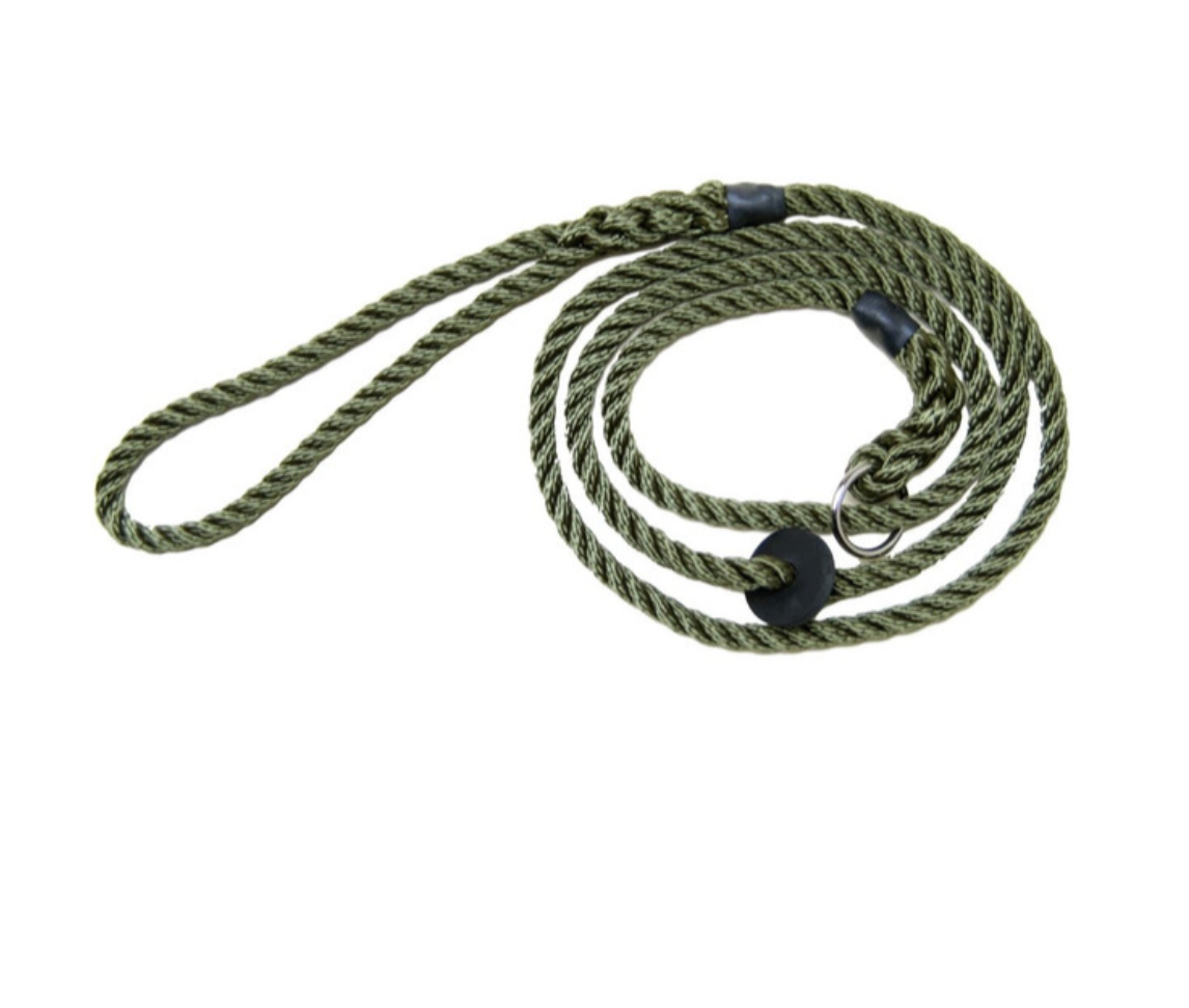 Bisley Deluxe 6mm Dog lead  | Cluny Country 