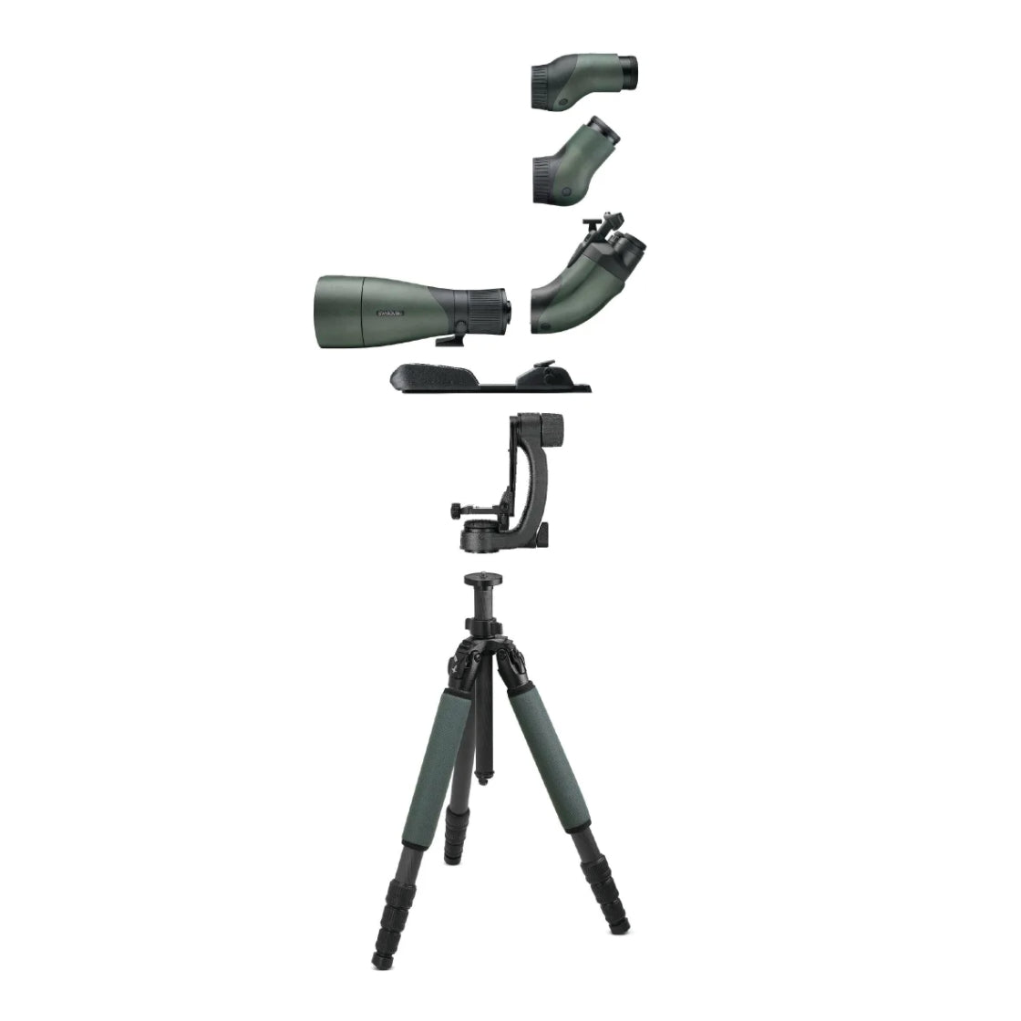 Swarovski 115mm Objective Telescope Module | Cluny Country