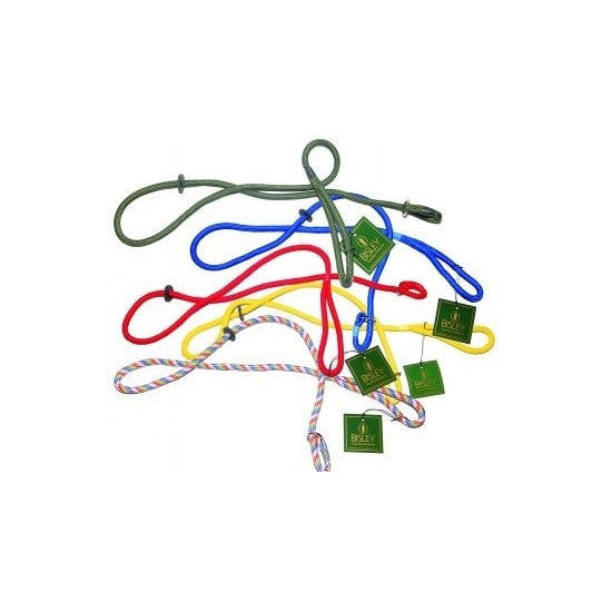 Bisley Gun Dog Slip Leads | Cluny Country