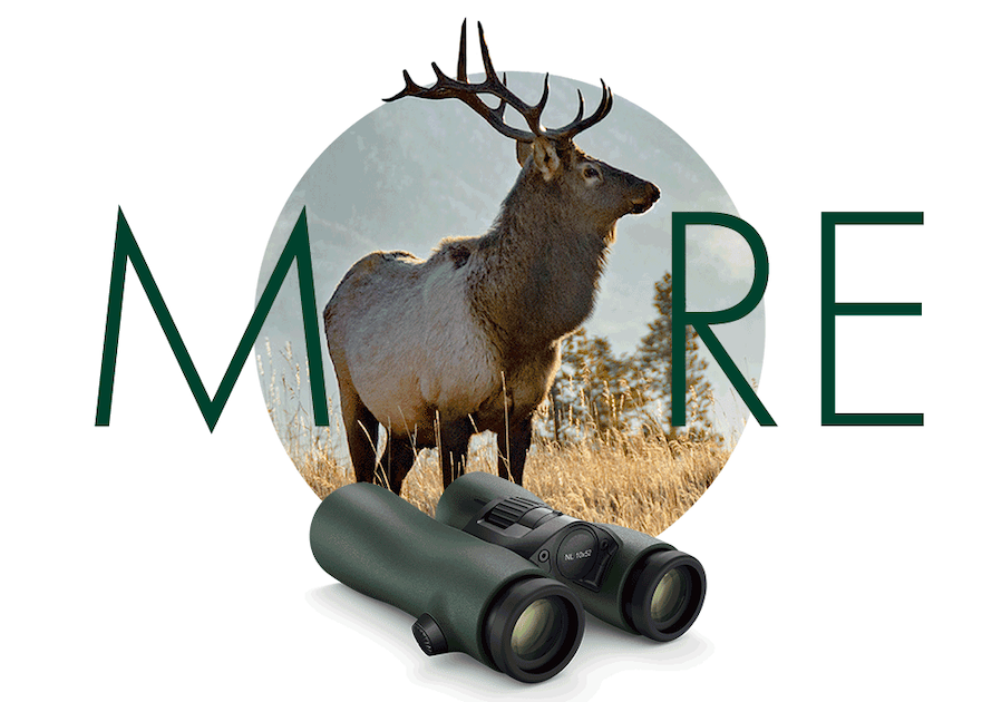 Swarovski NL Pure 14x52 Binoculars | Cluny Country