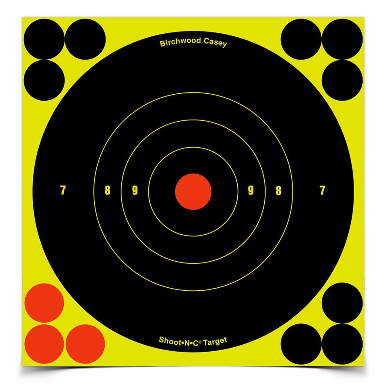 Shoot N C 6" Targets (x12) | Cluny Country