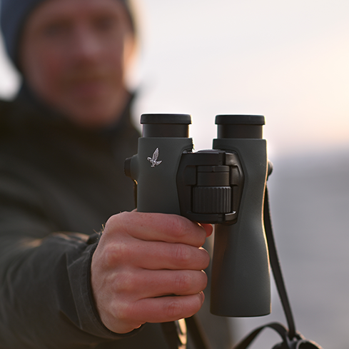 Swarovski NL Pure 8x42 Binoculars  | Cluny Country 