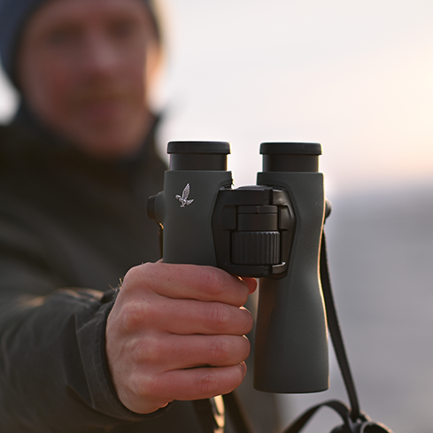 Swarovski NL Pure 12x42 Binoculars | Cluny Country