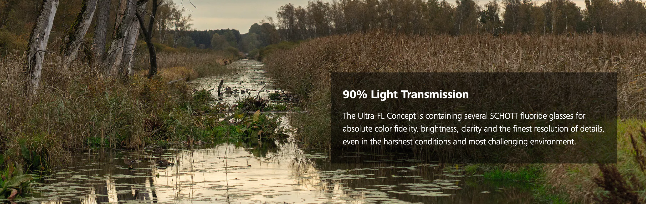 Zeiss Victory SF 8x32 Binoculars | Cluny Country