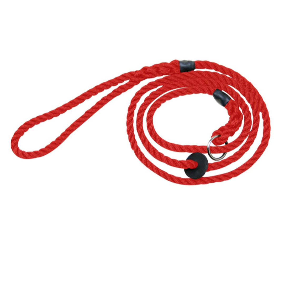 Bisley Deluxe 6mm Dog lead -  | Cluny Country 