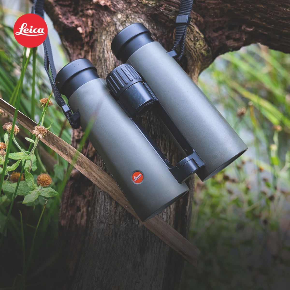 Leica Optics