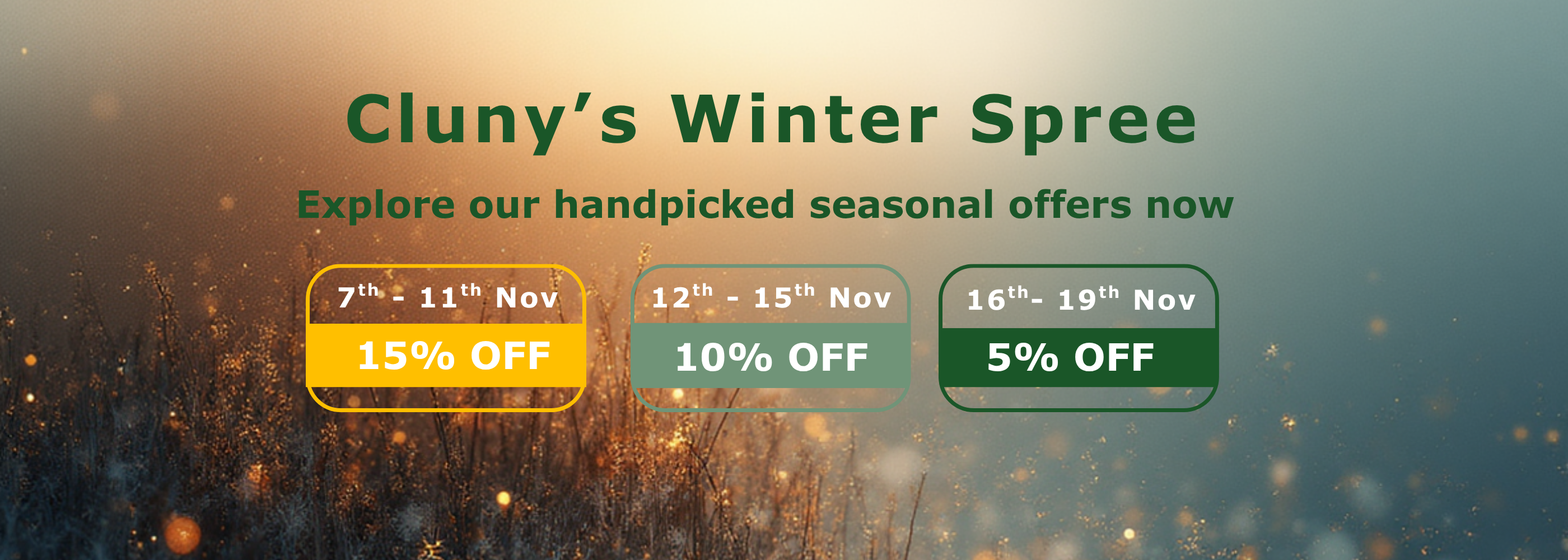Promotional banner for Cluny's Winter Spree with seasonal offer dates and discounts.
